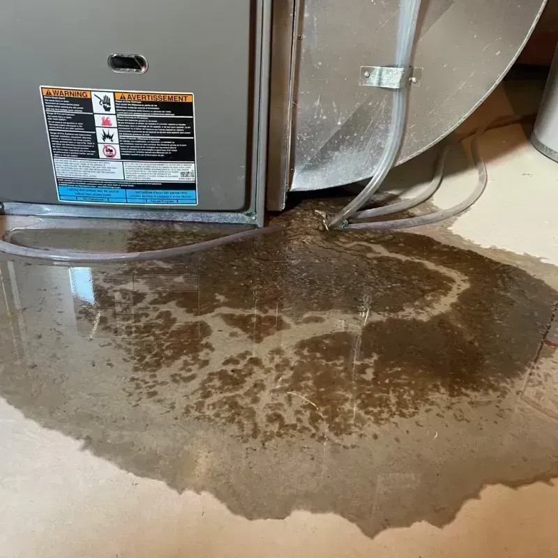 Appliance Leak Cleanup in Elk Creek, KY